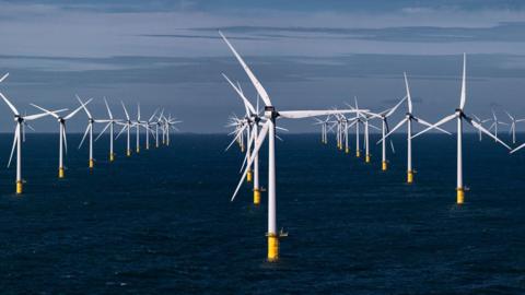 Offshore wind farm with several wind turbines standing in the ocean under a blue sky