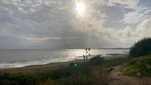 The waning sun casts a gentle, golden light over the sea. It also illuminates a gravel path running away from the camera on the right-hand side of the picture where a dog stands looking off into the distance