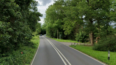 A Google Street image of the A24 in Surrey. The road is lined with thick foliage. 