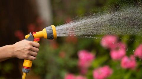 A person's using a hosepipe