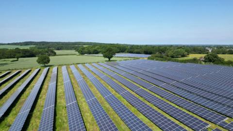 A stock image of a solar farm, with solar panels lined up on a grassy field.