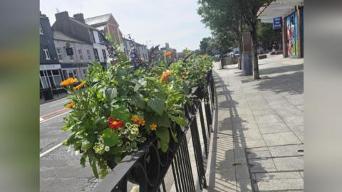 Planters attached to railings along Washington Street in Workington. They are rectangular pots hanging over the top of black railings. A variety of flowers are blooming in them. The street can be seen trailing off into the distance.