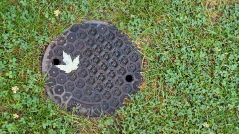 A sewer cover on green grass.