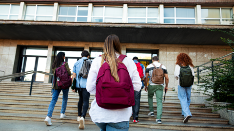 A group of students with their backs to the camera walking up the stairs into a campus building 