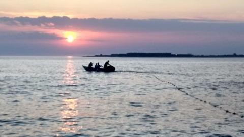 Netting within the Moray Firth