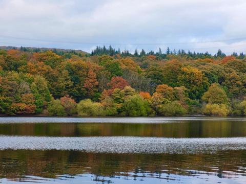 Autumn-coloured trees surround a lake with cloudy skies above. 