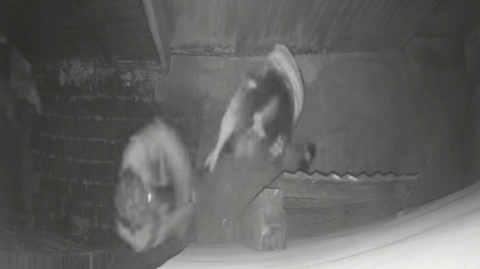 CCTV image of the incident- which captures Catherine hitting the victim on the head
