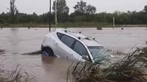 Silver car half-submerged in murky water, with trees and some posts in the background and weeds closer to the front in Bahía Blanca, Buenos Aires province