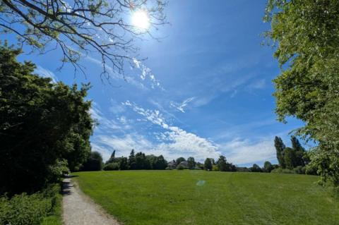 Sunny park with a green field, tree-lined path, and blue sky filled with wispy clouds in Swindon, southwest England