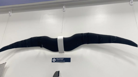 A bird inspired glider wing at the University of Surrey. 