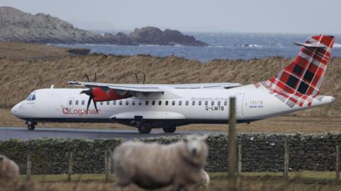 A Loganair plane on an airport runway. Two sheep in a nearby field are in the foreground. The sea and coast are in the background.
