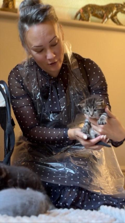 Frankie Seaman holding a grey kitten