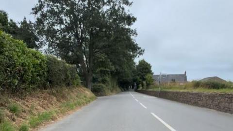La Grand Route de St Laurent bordered by green hedges on the left and a stone wall on the right. Trees line both sides of the road - a few buildings are visible in the distance under a cloudy sky.