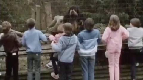 Children looking at a Lirpa Loof in a zoo enclosure.