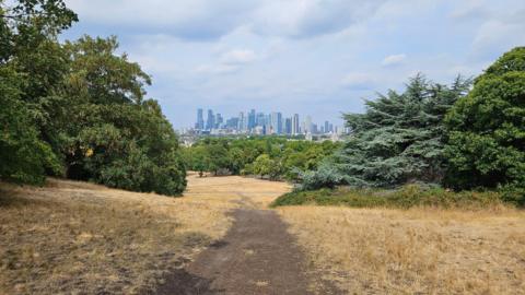 Dry ground and grass in a London park with the city skyline in the distance beneath a partly cloudy sky