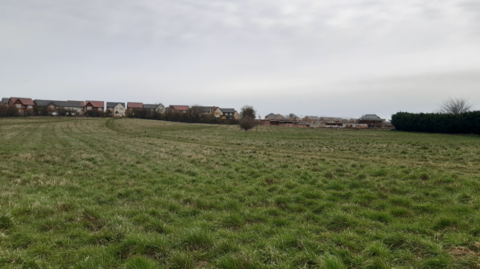 A grass field off Burdon Road which has been earmarked for the proposed homes. Dozen of detached houses are visible on the edge of the field.