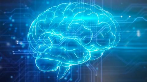 Stylised graphic of human brain