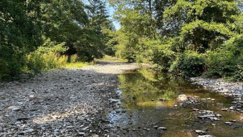 A photo of a river with very low water levels due to the weather. Lots of trees line the river.