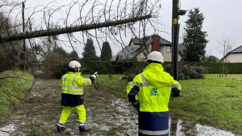 Two workers in hi-vis NIE gear standing in a muddy and water-logged path assessing a fallen tree. There is another tree down in the background, as well as a house.