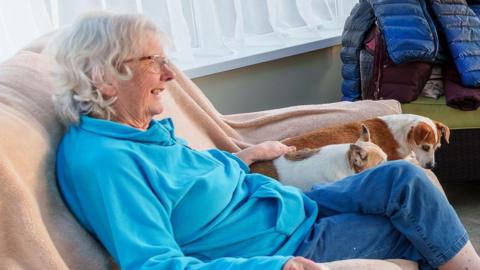 An elderly lady with white hair and a fleecy blue top sits on a beige sofa with two Jack Russell Terrier dogs 
