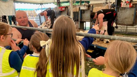 Children watch two sheep being sheared with a third shearer explaining what is happening.