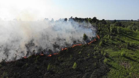 Fire at Frensham Common