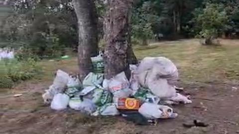 Bags of rubbish piled around a tree