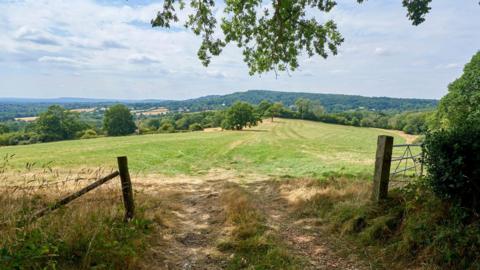 A sweeping green field with trees and hills visible in the distance. 