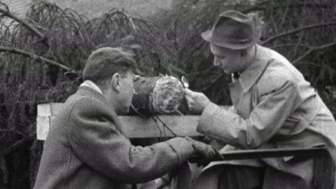 tree detective Mr Edlin and a BBC reporter inspect the stem of a tree