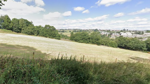 Grass fields in the sunshine surrounded by hedgerows