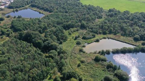 Aerial view of the nature reserve showing large areas covered with dark green trees, and three reservoirs, one to the top left and two to the bottom right, separated by a row of trees
