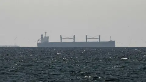 A cargo ship in the Gulf, near the Strait of Hormuz, as seen from northern Ras al-Khaimah, near the border with Oman’s Musandam governance, amid the U.S.-Israeli conflict with Iran, in United Arab Emirates, March 11, 2026