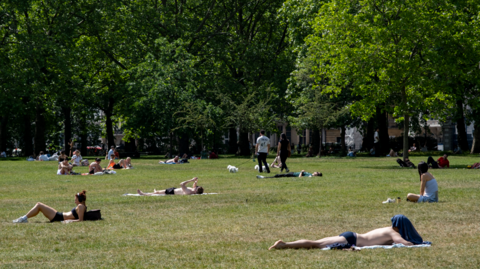 Sunbathers lying in the grass at a park in London on a sunny day