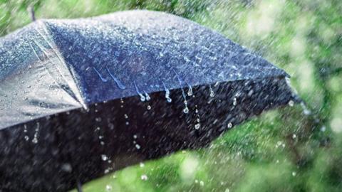 Rain on umbrella.