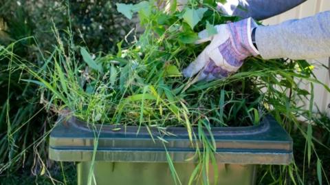 Garden waste being pushed into a green bin by a person wearing gloves and a grey top