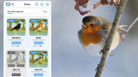 the bird app next to a photo of a bird