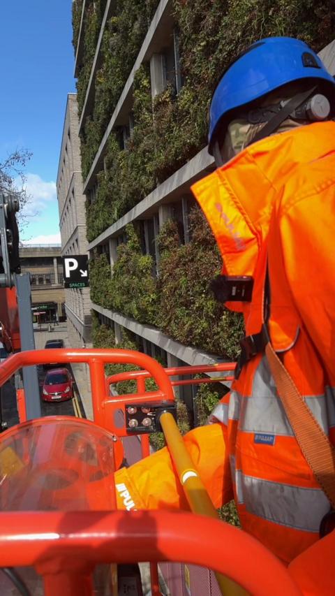 Someone in high vis on crane near the green plant wall.
