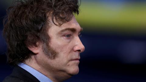 A close-up of Argentinian President Javier Milei's face, shown from the side,  against a blurred blue and yellow backdrop 