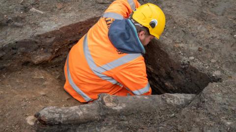 A man wearing an orange high-visibility jacket and a yellow hard-hat is helping to dig a wooden stake from the ground.