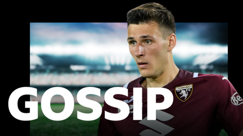 Torino midfielder Gvidas Gineitis 