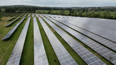 The images shows rows and rows of solar panels in a large field, edged by trees on the far right.