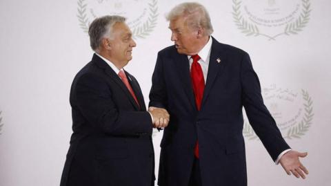 Viktor Orban and Donald Trump shake hands with Trump appearing to be saying something as he faces Orban. Both men are dressed in suits with a white background
