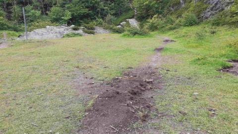 An area of dug up wildflower meadow, with soil, seen with woodland in the background of the nature reserve