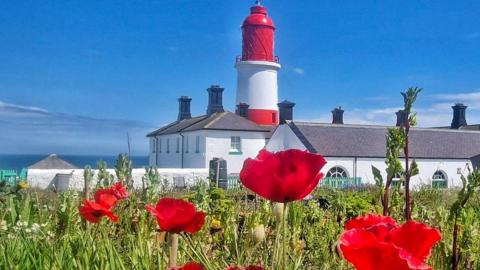 A red and white lighthouse under bright blue skies with poppies in the foreground.