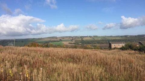 Land South Broomhouse Lane - the so-called allotment site - in Prudhoe, Northumberland