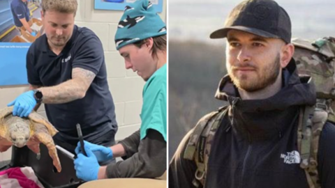 Two images: on the left two vets help a turtle, on the right a man wearing North Face jacket and a black cap with a camouflage backpack.