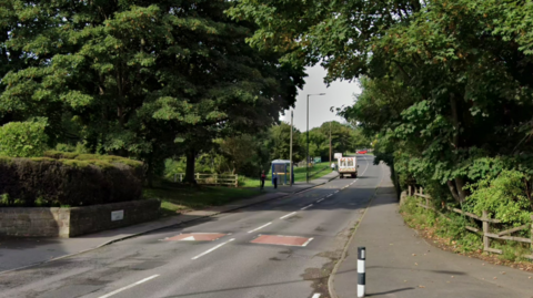 Google streetview image of Drakehouse Lane. It has fencing holding back hedgerow/trees from the path on both sides of the road. The photo was taken on a sunny day.