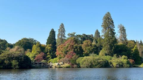 Autumnal trees and bushes behind a body of water and below a clear, pale blue sky