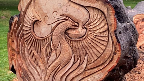 A tree trunk with the carving of a Pheonix