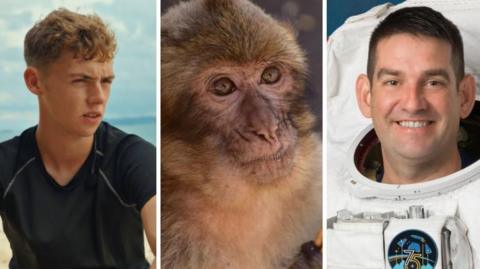 Edited image showing a young man, a monkey and an astronaut